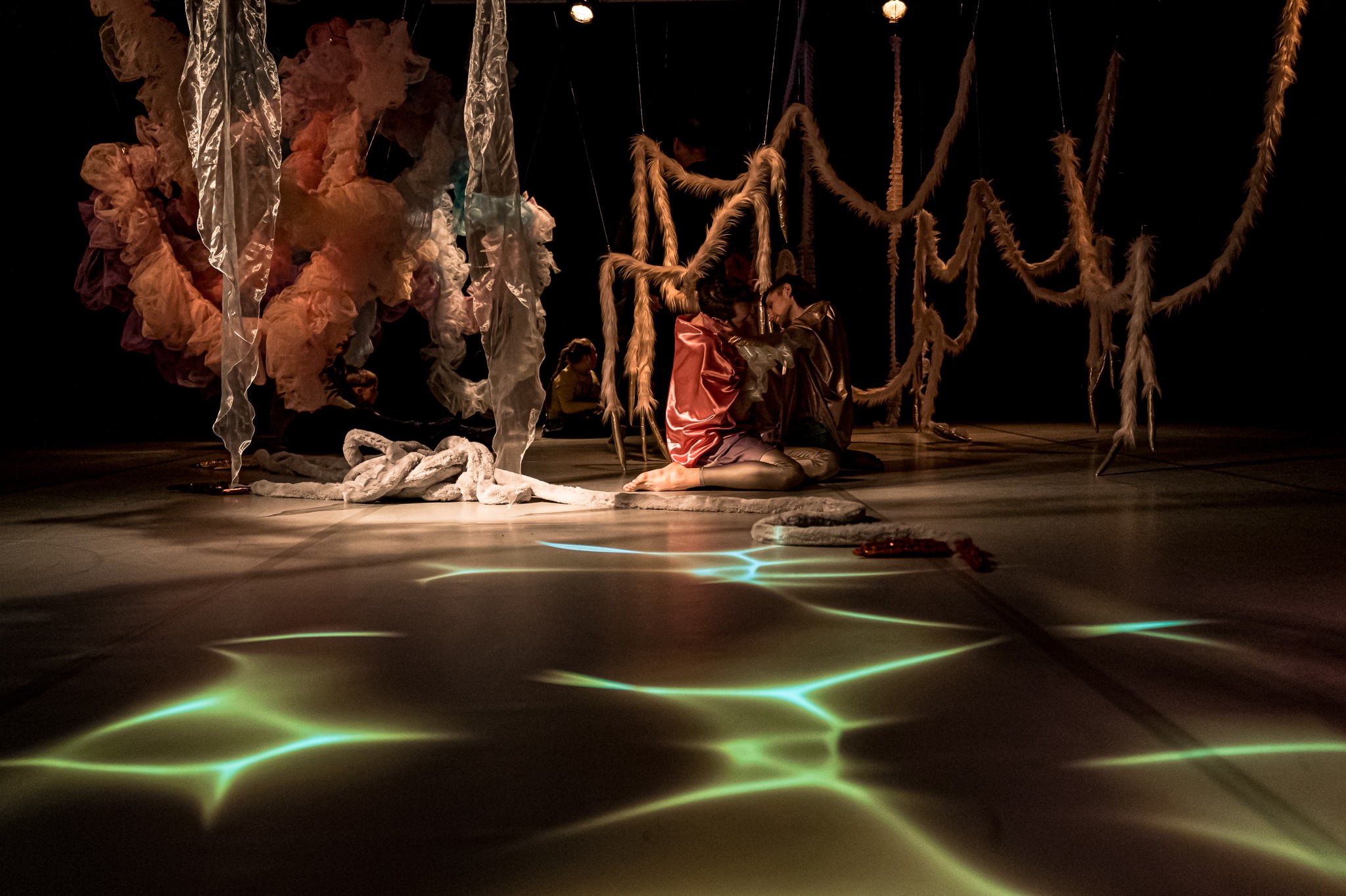 Dalija Acin Thelander