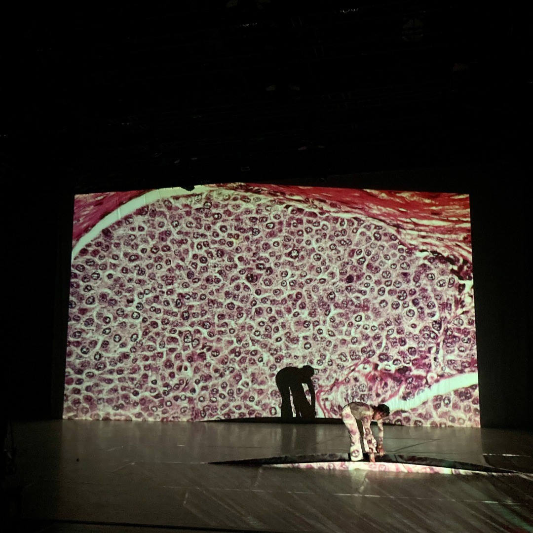 Alba Rami&oacute; i G&uuml;ell